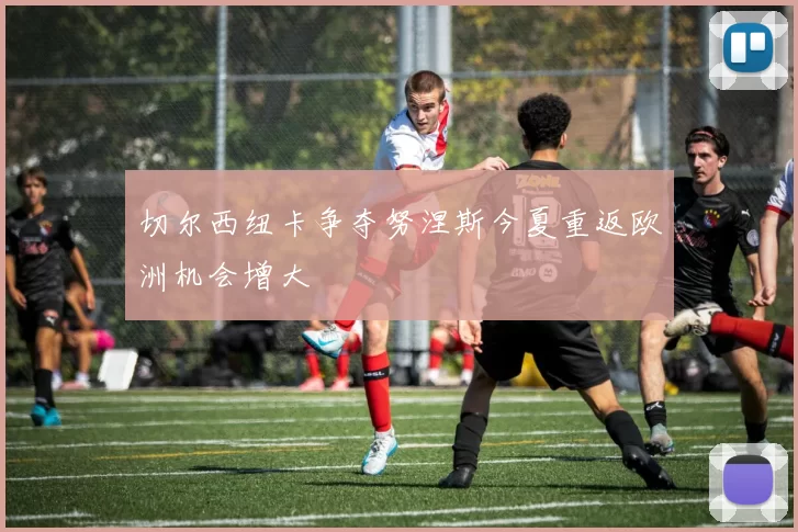 切尔西纽卡争夺努涅斯今夏重返欧洲机会增大